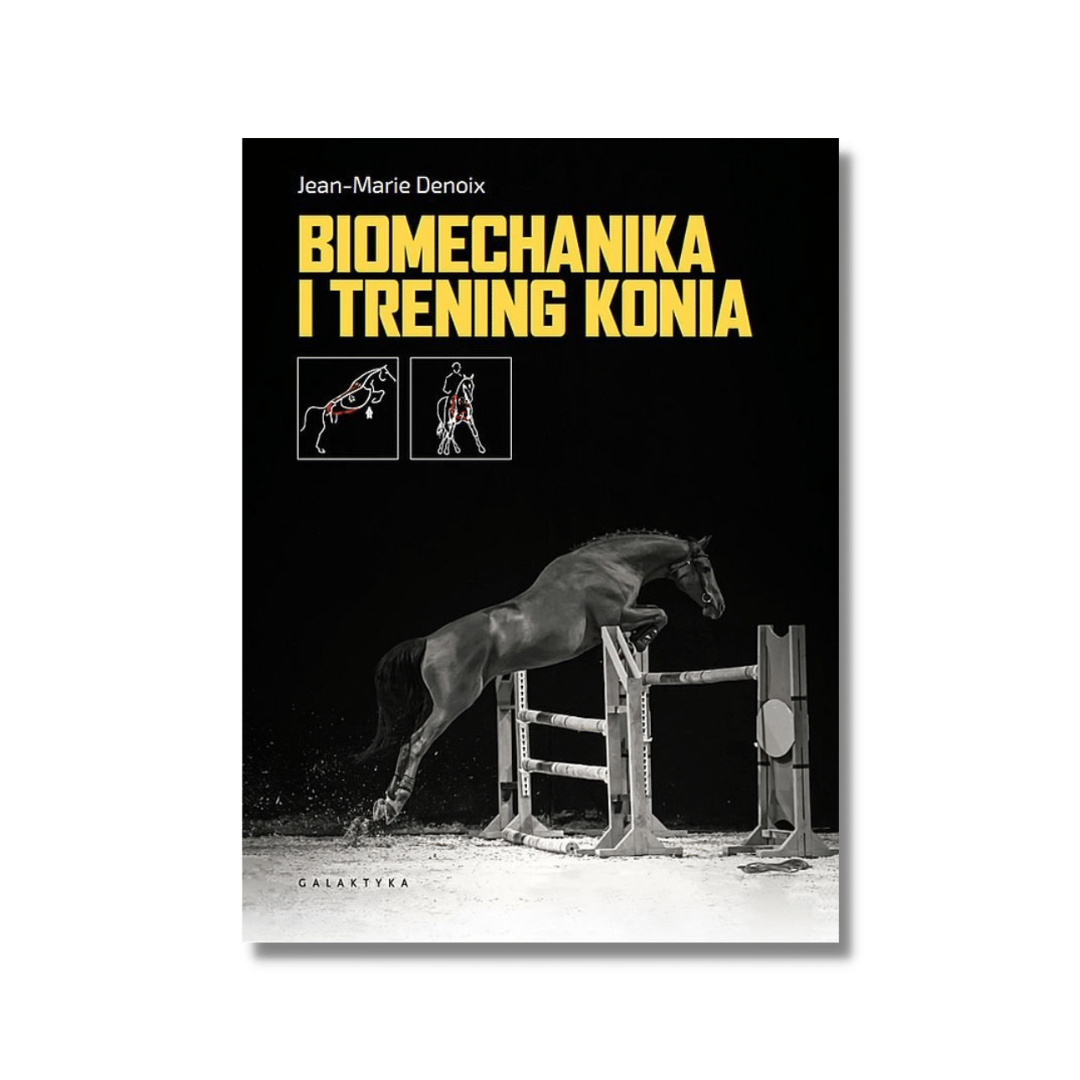 Biomechanika i trening konia